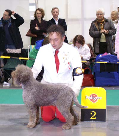 benitto di villa fedrici.jpg